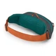 Поясная сумка Osprey Daylite Waist S21 Grey/Yellow (1054-009.3745) - изображение 3