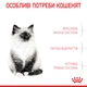 Корм для кошенят ROYAL CANIN KITTEN 2,0 кг (2522020) - изображение 4