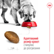 Корм для дорослих собак великих порід ROYAL CANIN MAXI ADULT 15,0 кг (30071500) - изображение 4