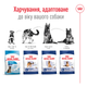 Корм для дорослих собак великих порід ROYAL CANIN MAXI ADULT 15,0 кг (30071500) - изображение 5
