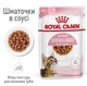 Вологий корм для стерилізованих кошенят ROYAL CANIN KITTEN STERILISED IN GRAVY 85 г (1071001) - изображение 2