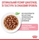 Вологий корм для стерилізованих кошенят ROYAL CANIN KITTEN STERILISED IN GRAVY 85 г (1071001) - изображение 3