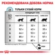 Корм для дорослих котів ROYAL CANIN ANALLERGENIC CAT 2,0 кг (19500201) - изображение 6