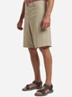 Шорты короткие мужские Jack Wolfskin Desert Shorts M 1508341-4030 48 Бежевые (4064886435130) - изображение 1