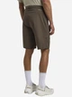 Шорты мужские Jack Wolfskin Prelight Stride Shorts M A63784-5719 52 Коричневые (4064886449328) - изображение 2