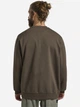 Свитшот мужской Jack Wolfskin Essential Crewneck M A63843-5719 L Коричневый (4064886463461) - изображение 2