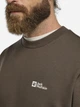 Свитшот мужской Jack Wolfskin Essential Crewneck M A63843-5719 L Коричневый (4064886463461) - изображение 4