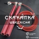 Спортивная скоростная скакалка для гимнастики, бокса, похудения, фитнеса GDragon Sport профессиональная 3м с регулировкой длины, подшипником, металлическим тросом, алюминиевыми ручками Красная 46_1_0_5 - изображение 1