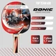 Ракетка для настольного тенниса Donic Schildkrot Top Team 600 - изображение 1