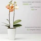 Смарт-датчик для рослин BauTech Smart Flower and Plant Monitor Білий (1015-263-00) - зображення 3