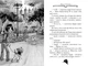 Агата Містері. Книга 19. Слідами діаманта - изображение 5