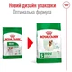 Royal Canin Royal Canin Mini Adult | Сухий корм для дорослих собак 8 кг (3182551055757) (30010080) - зображення 3