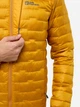 Пуховик короткий мужской Jack Wolfskin Passamani Down Hoody M A61831_M0043 S Желтый (4064886343091) - изображение 3