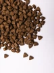 Сухий корм Savory All Breed для стерилізованих собак усіх порід, зі свіжою індичкою, 3 кг (1111171567) - изображение 6