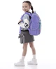 Рюкзак шкільний каркасний GoPack Education Summer Ice Cream 34x26x13 см 11 л Фіолетовий (GO25-5001S-2) - зображення 17
