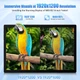Планшет 14" Full HD Meswao MES-B2 6/128Gb 8 ядер Android 13 12000mAh Б/У - изображение 5