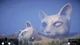 Ключ активации Hidden Paws Mystery для Xbox One/Series S/X - изображение 10