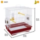 Клетка для канареек и маленьких птиц Ferplast Giusy 39х26х37 см. Зеленая (52008514) - изображение 2