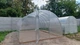 Теплица "Алистан 30x30" 3×8 из оцинкованной квадратной трубы с поликарбонатом 8 мм - изображение 4
