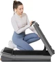 Бігова доріжка Xiaomi Kingsmith Z3 Just walk (WP400F42) (1124750) (001012286161) - зображення 17
