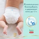 Підгузки трусики Pampers Premium Care Pants Junior 5 (12-17 кг), 34 шт - зображення 4