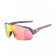 Окуляри Alpina Turbo HR Q-Lite Black/Purple (1097-A8713-33 UNI) - зображення 1