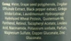 Органічний лосьйон-активатор для росту волосся "Нічна фаза" - MinoX Organic 100ml (1087357-31162342) - изображение 3