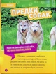 Гав! 100 цікавих фактів про собак - зображення 7