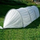 Мини парник MaksiAgro 8 м, плотность 50 г/м², 80×120 см — компактная теплица из агроволокна для защиты и быстрого роста растений - изображение 4