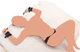Нейлоновые ремни и манжеты Bed Shackles (05941000000000000) - изображение 12