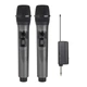 Комплект из 2х беспроводных профессиональных микрофонов с приёмником Nectronix WM-2 UHF, до 20 метров (101158) - изображение 1