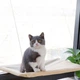Лежанка для кошек оконный гамак с присосками на окно Sunny Seat Mounted Cat Bed до 22 кг Лёгкая Бежевая (3026) - изображение 3