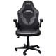Игровое кресло Trust GXT703 RIYE, Чёрный (25128_TRUST) - изображение 2
