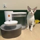 Автоматическая поилка-фонтан для кошек и собак PetGravity 3л - изображение 14