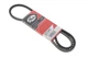 Ремінь генератора VW T4 1.9/2.4D/2.5 79-92 6223MC GATES - зображення 1