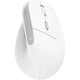 Мышь Trust Bayo II Ergonomic Wireless White (25398) [115604] - изображение 3