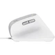 Мышь Trust Bayo II Ergonomic USB White (25397) [115601] - изображение 5