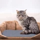 Защитная дряпка для кота Miao самоклеящийся разрезной коврик - когтеточка на диван / ножку стола / пол, 40х100 см, серый (101344706) - изображение 2