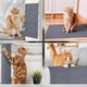 Защитная дряпка для кота Miao самоклеящийся разрезной коврик - когтеточка на диван / ножку стола / пол, 40х100 см, серый (101344706) - изображение 9