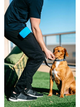 Сумка під ласощі для собак Dexas Pooch Pouch силіконова з кліпсою на пояс Блакитний (PW6002194) - зображення 3
