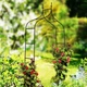 Металева арка для квітів Garden (Пергола) 240 cm - зображення 4