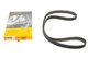 Ремінь ГРМ Renault Kangoo/Clio 1.9D 97-06/Scenic 1.9 99-01/Dacia Solenza 1.9D 03-05 151x25 CT949 CONTINENTAL - изображение 1