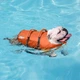 Плавательный жилет для собак Outward Hound Granby Splash, размер XS - изображение 6
