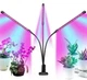 Світлодіодна LED-фітолампа Grow Light для вирощування рослин розсади Повний спектр 3 голови USB 30 Вт - зображення 2