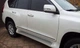 Toyota Land Cruiser Prado 150 (2013-2017) Молдинг дверей чорного кольору - зображення 1