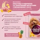 Упаковка вологого корму для дорослих собак Delickcious пластівці з індичкою та тропічними фруктами у вершковому соусі 80 г x 12 шт (D6211501) - зображення 3