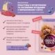 Упаковка вологого корму для дорослих собак Delickcious пластівці з ягнятиною та лісовими ягодами у вершковому соусі 80 г x 12 шт (D6211502) - зображення 3