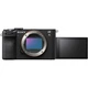 Бездзеркальна камера Sony Alpha A7C II Body Black (ILCE7CM2B.CEC) - зображення 2