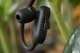 Наушники Xiaomi Mi Sport Bluetooth Black (YDLYEJ01LM_B) - изображение 7