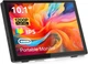 Монитор 10.1" Pisichen Full HD IPS 60 Гц - изображение 1